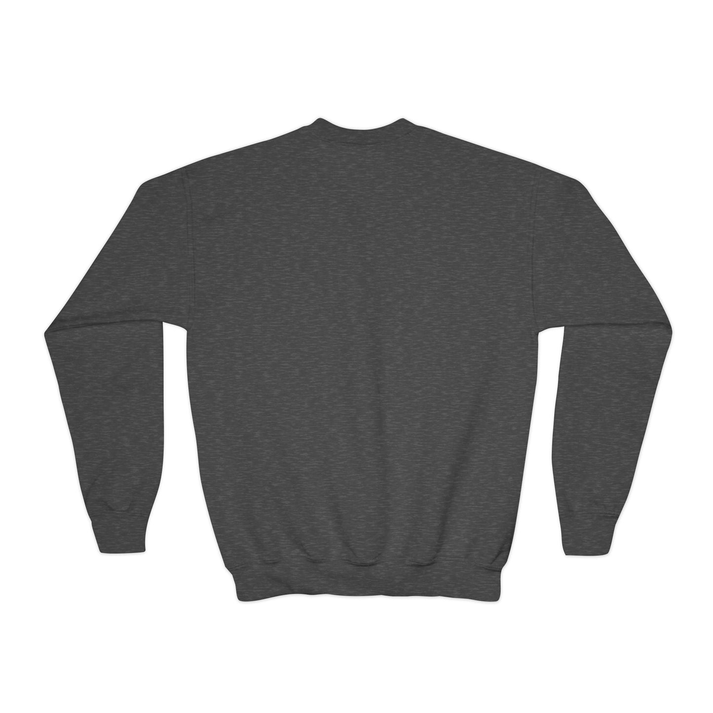 Kingdom Kids YOUTH Crewneck Sweatshirt