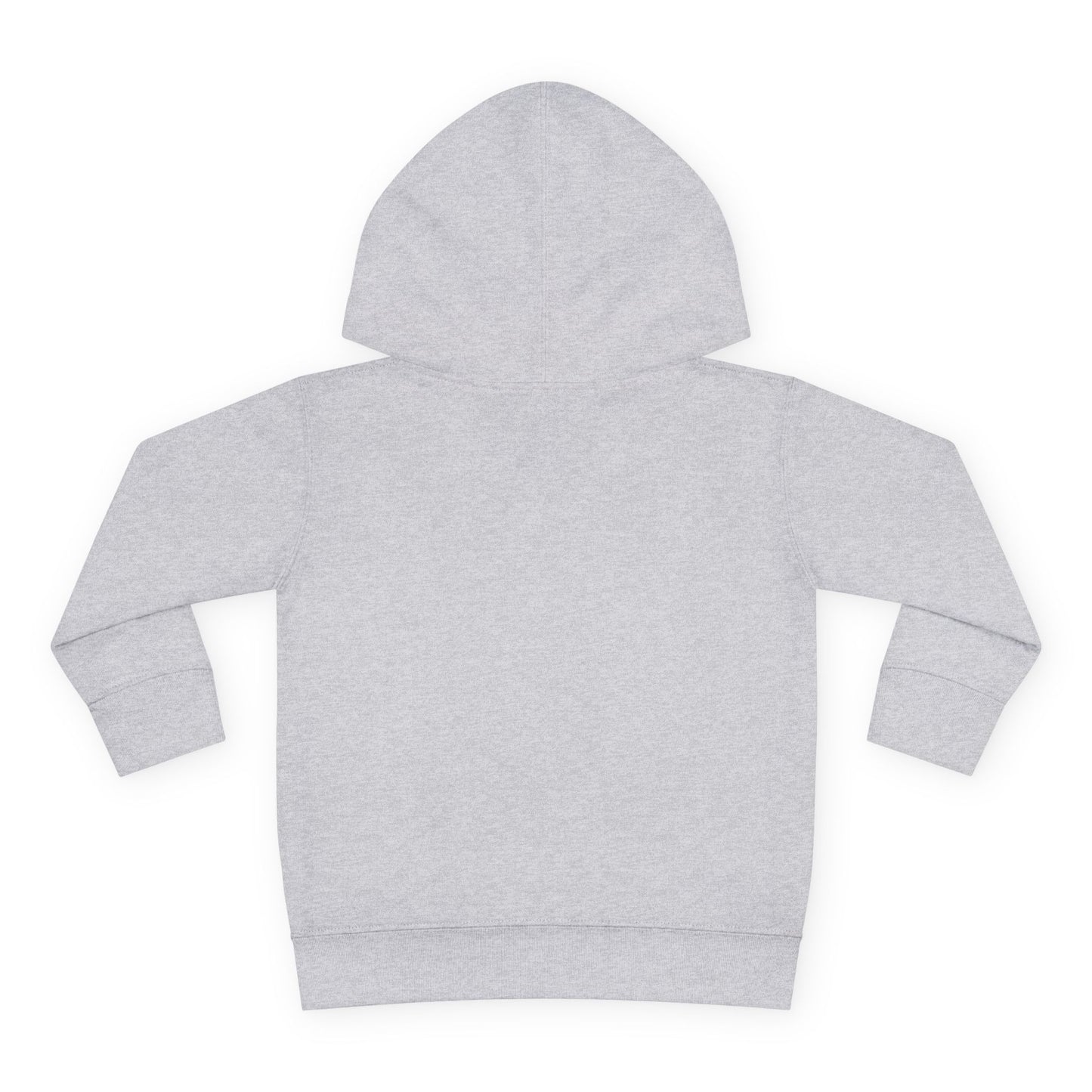 Kingdom Kids - (TODDLER HOODIE) (PRESCHOOL)