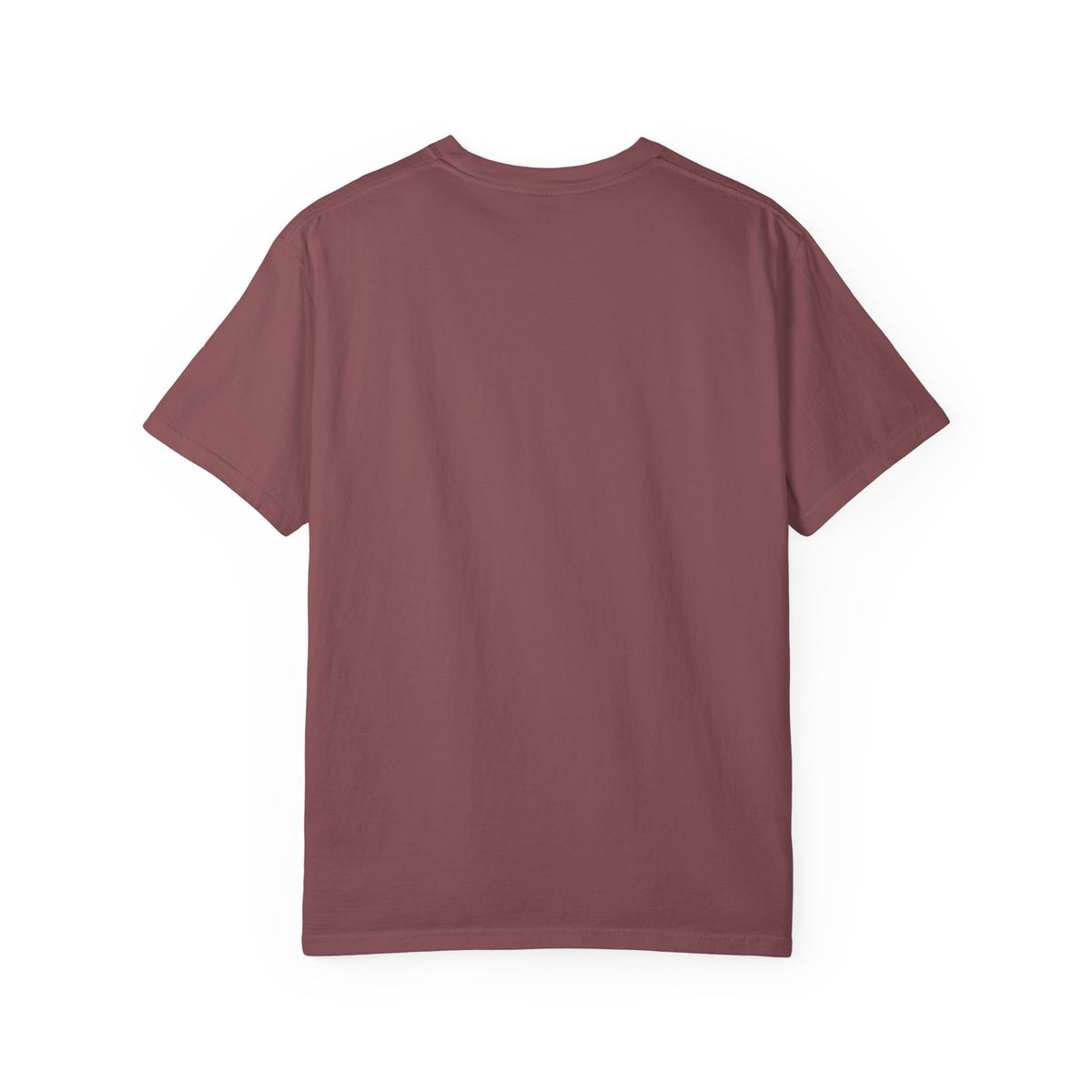 Peace in the Promise: Abraham.Comfort Colors 1717 Tee