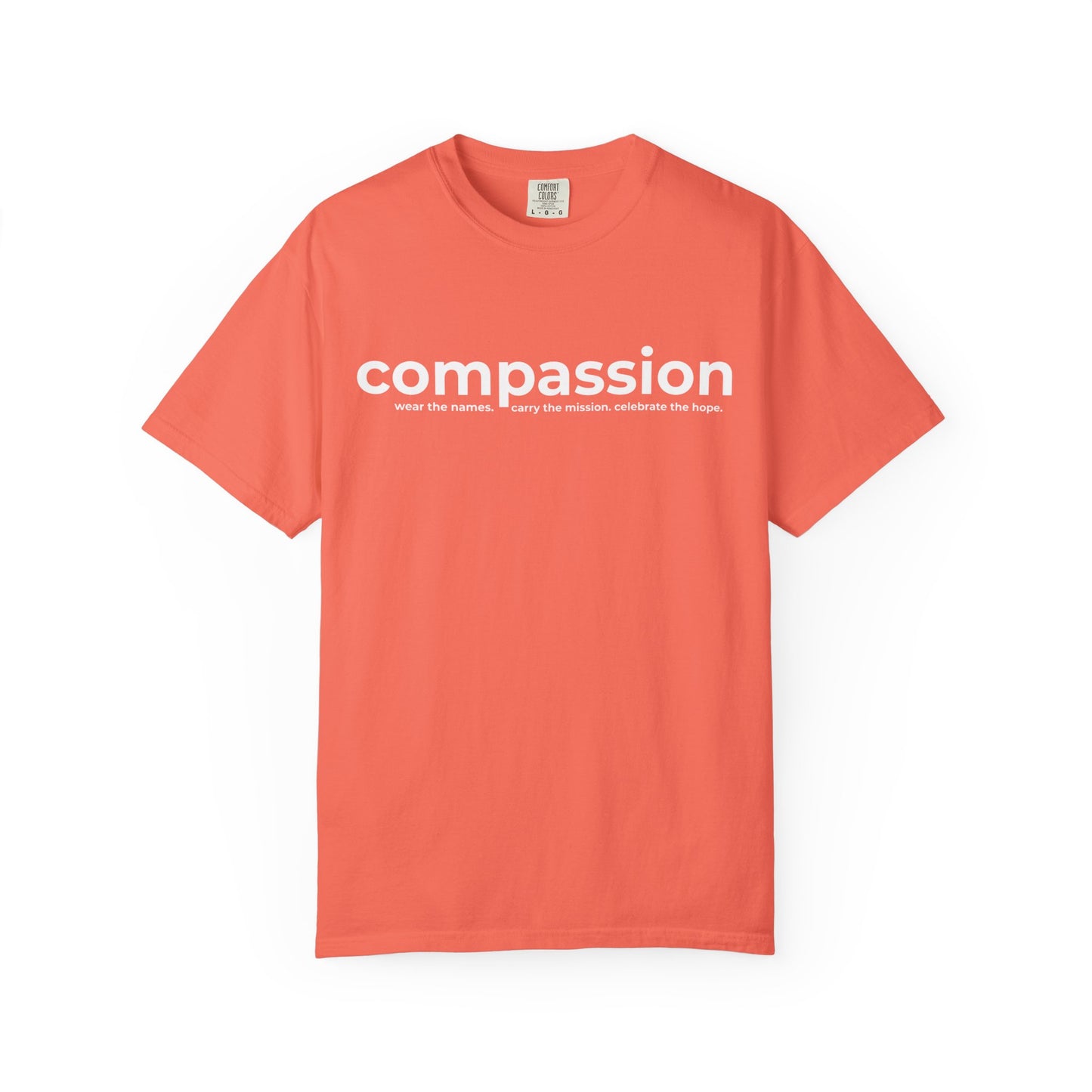 2026 TDC Easter ADULT Comfort Colors Tee