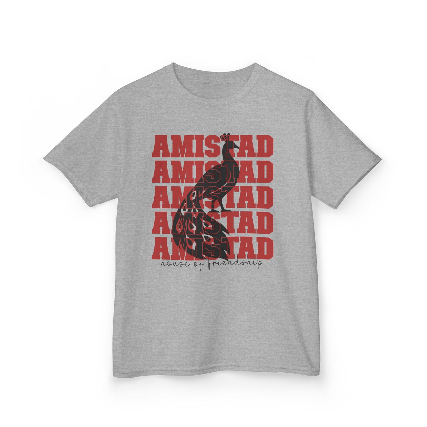 BPE YOUTH AMISTAD Heavy Cotton™ House of Friendship Tee