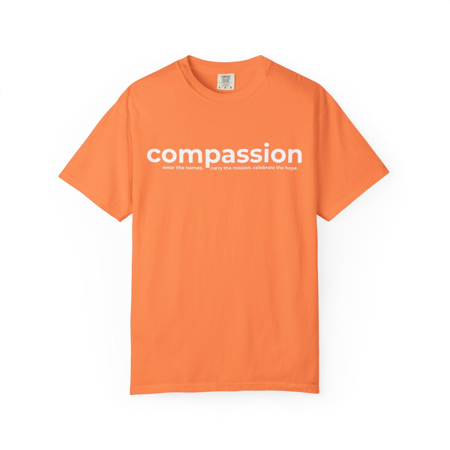 2026 TDC Easter ADULT Comfort Colors Tee