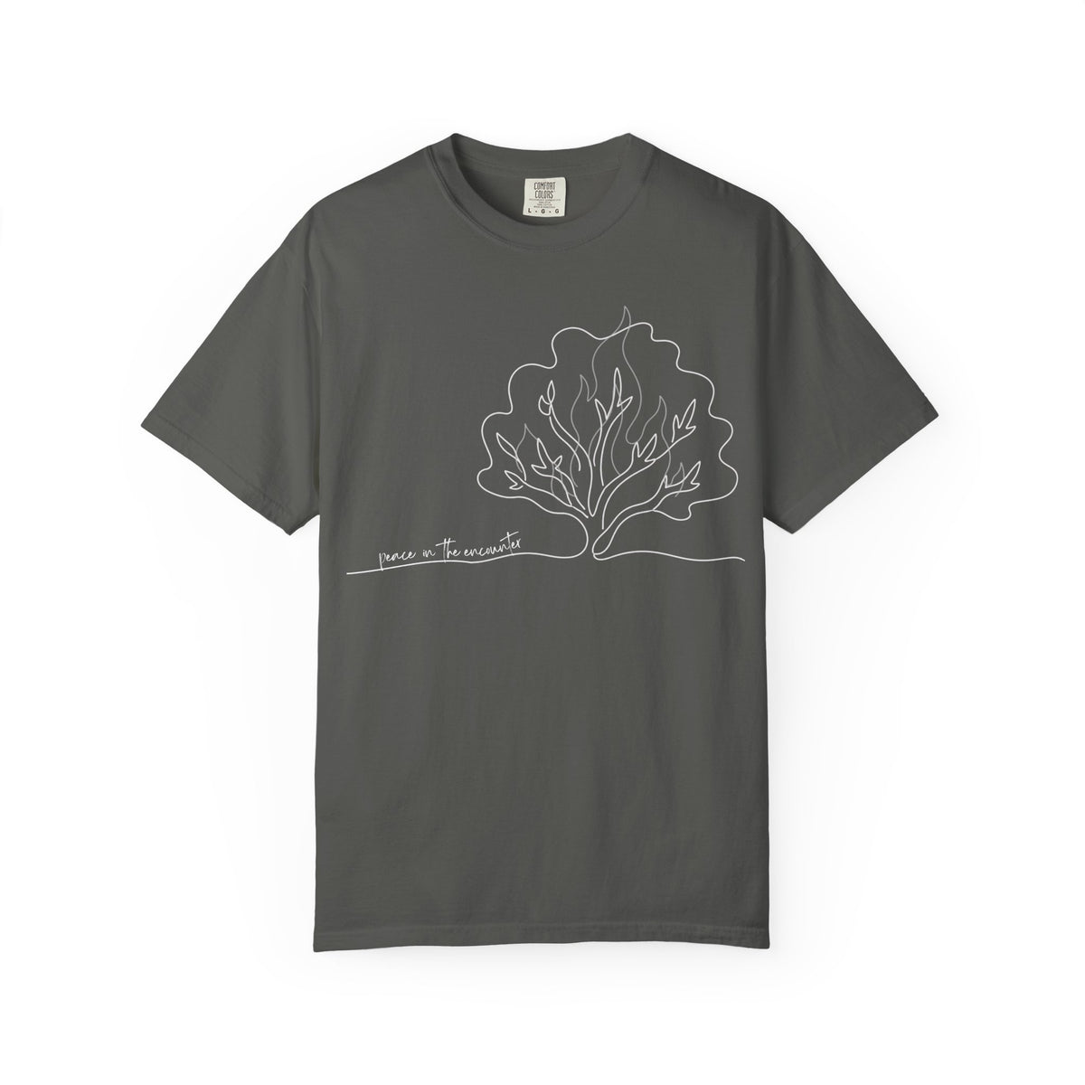 Peace in I AM: Encounter Collection: Comfort Colors 1717