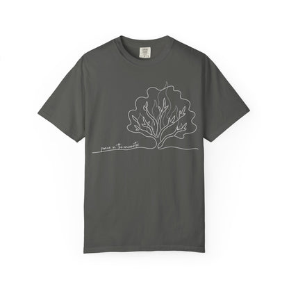 Peace in I AM: Encounter Collection: Comfort Colors 1717