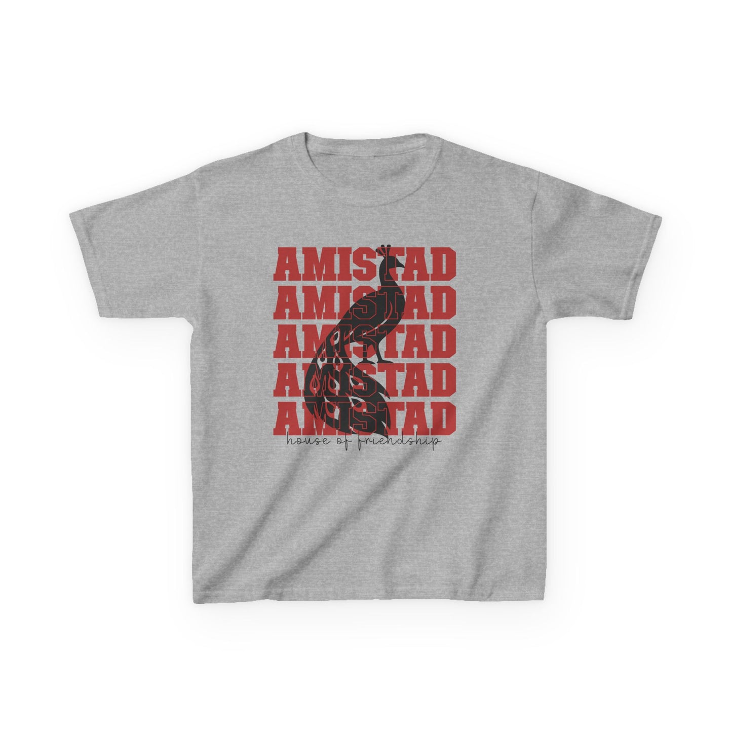 BPE YOUTH AMISTAD Heavy Cotton™ House of Friendship Tee