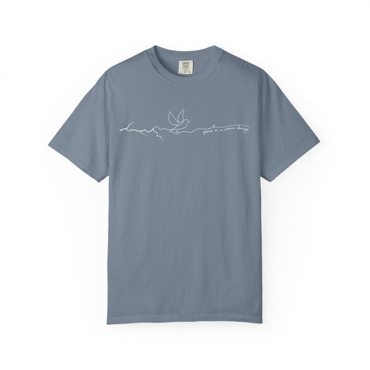 Peace in a Name Change:Family of Israel.Comfort Colors 1717