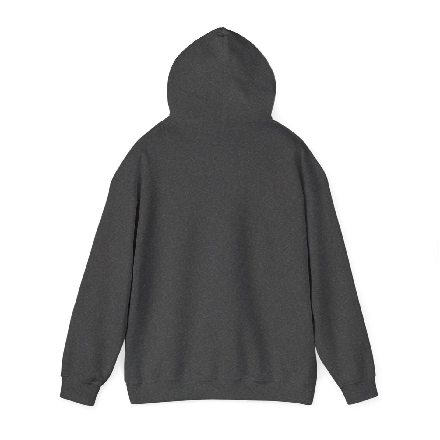 BPE ADULT Unisex Heavy Blend™ Hooded Stripe Sweatshirt