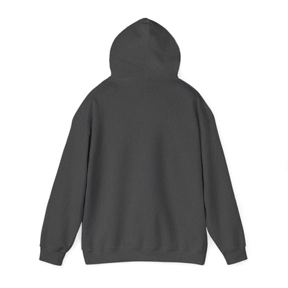 BPE ADULT Unisex Heavy Blend™ Hooded Stripe Sweatshirt