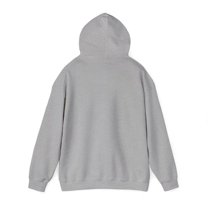 BPE ADULT Unisex Heavy Blend™ Hooded Stripe Sweatshirt