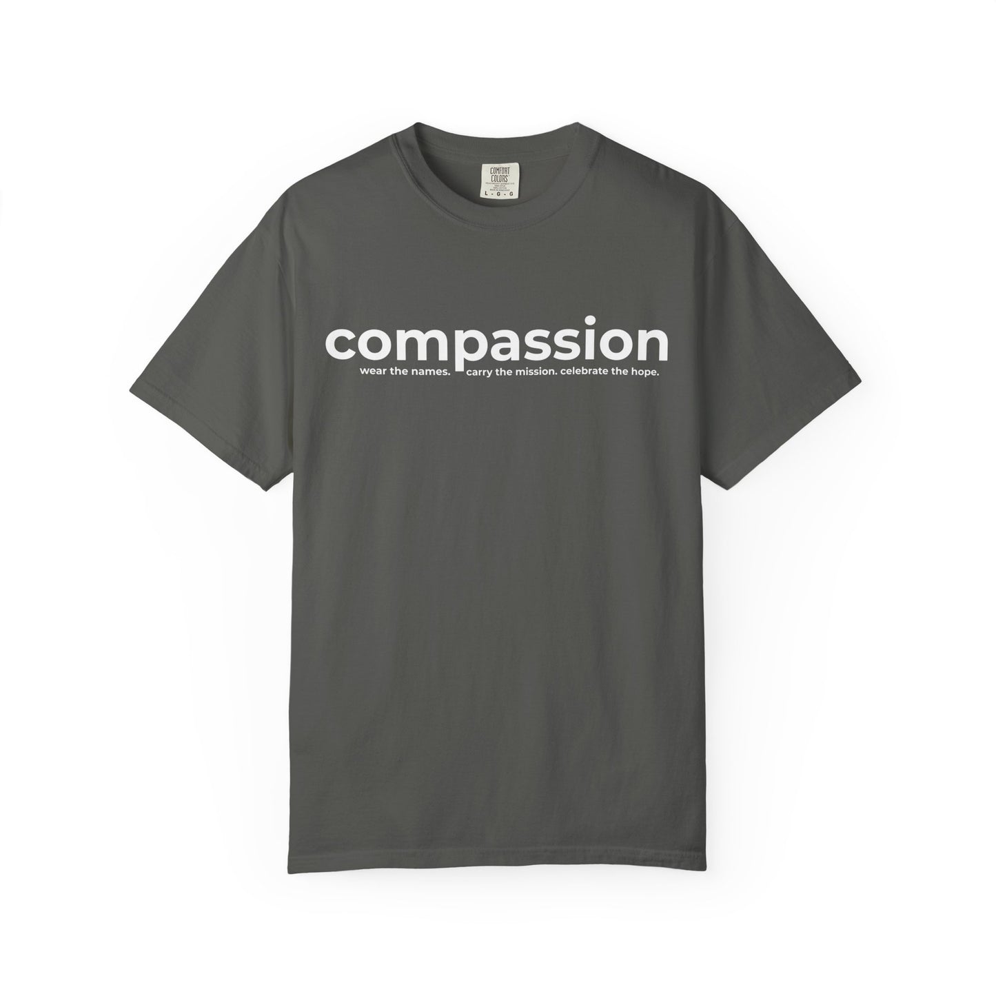2026 TDC Easter ADULT Comfort Colors Tee
